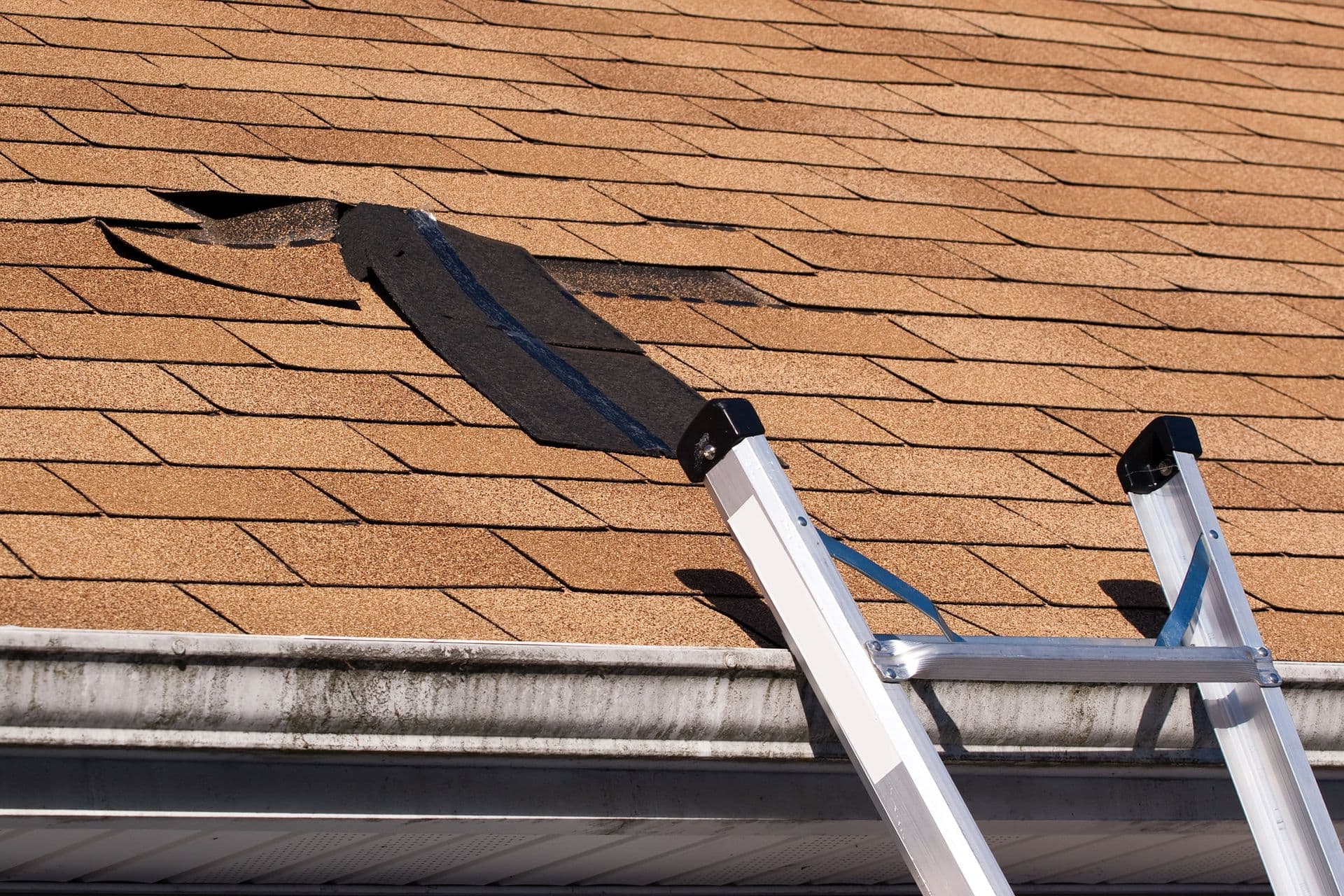 Damaged-Roof-Shingles-Repair.jpg