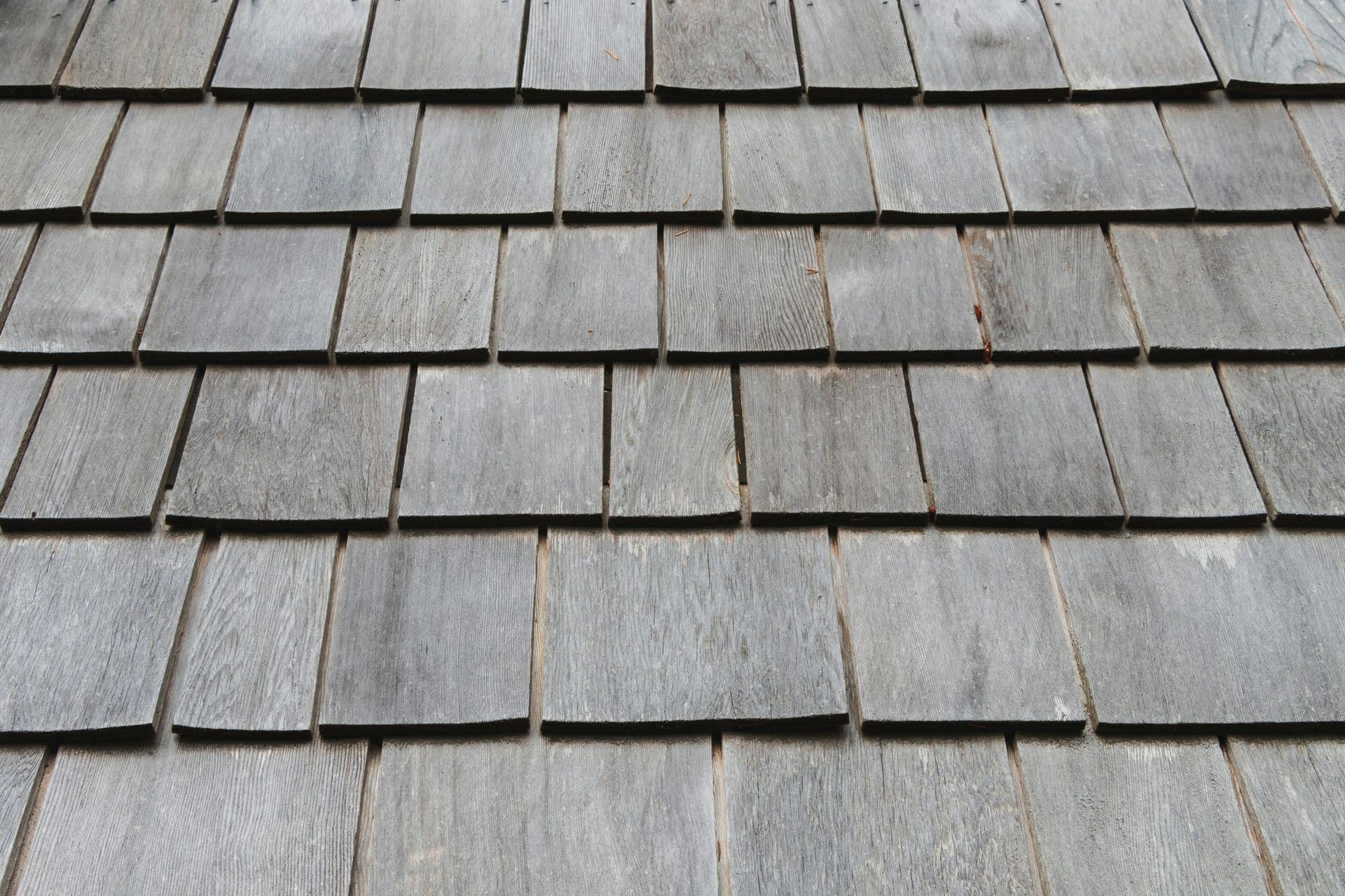 greg-rosenke-keFTK0YykFs-unsplash-scaled.jpg