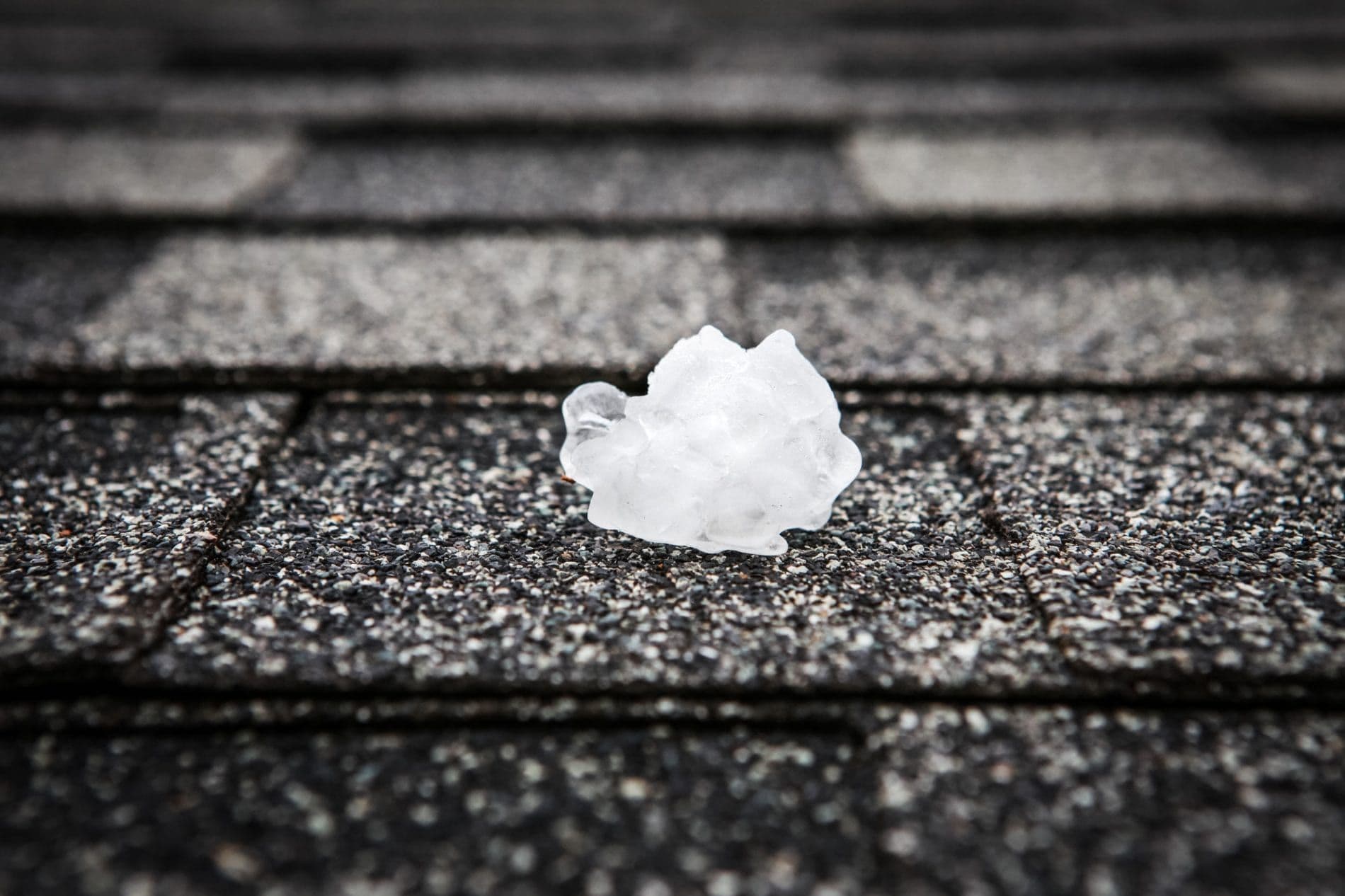 hail-damaged-roof-scaled.jpeg