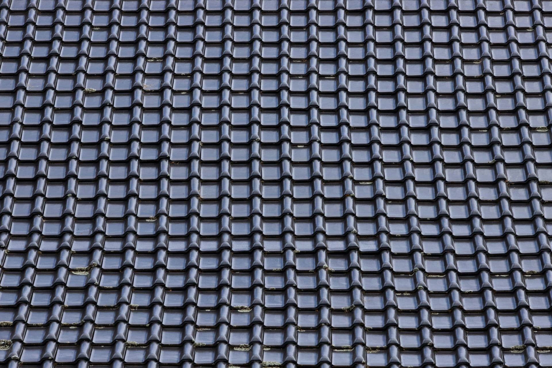 metal-roofing-scaled (1).jpg
