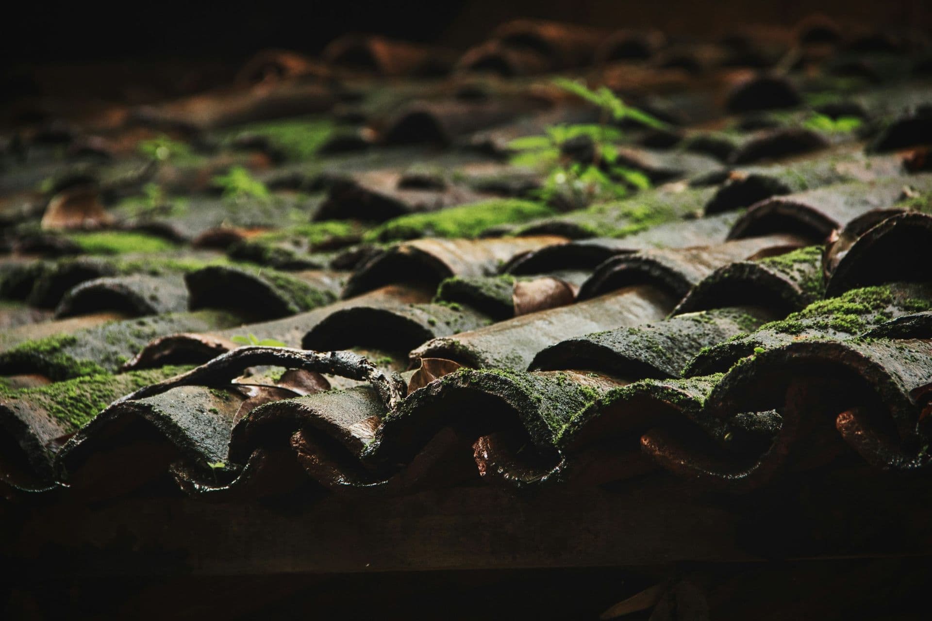 setu-chhaya-bOtca0H5Ny8-unsplash-scaled.jpg