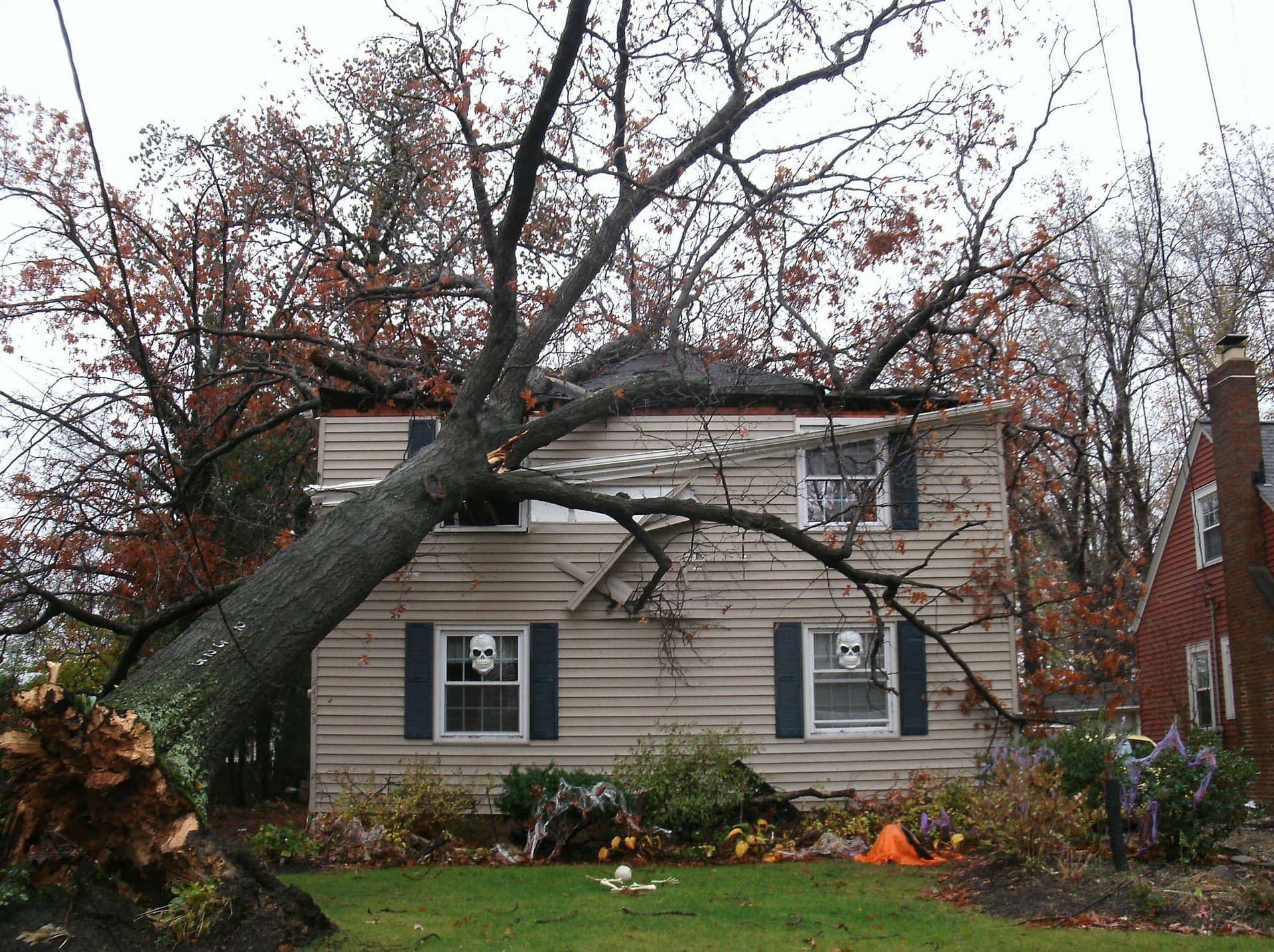 A downed tree on a tan house with black shutters.
