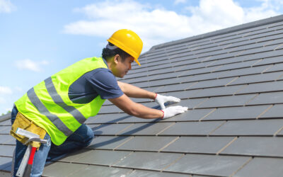 Common Types of Commercial Roofing for Businesses