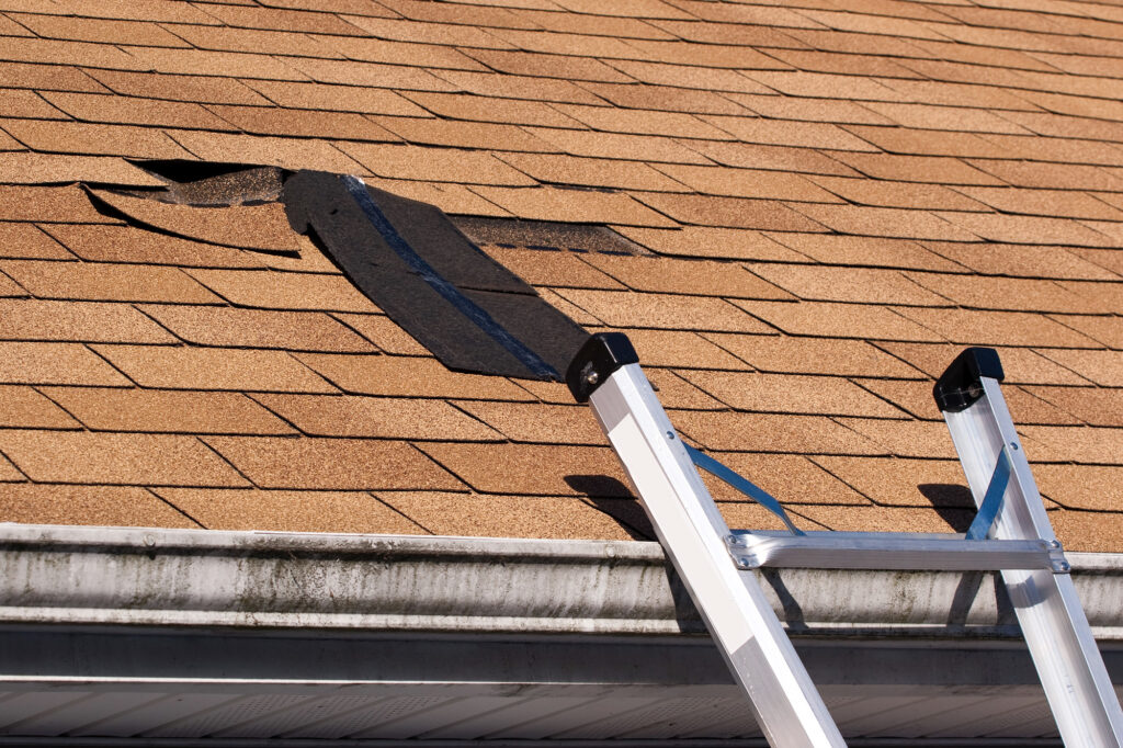 Damaged Roof Shingles Repair