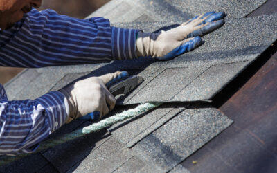 9 Signs Your Roof is Suffering from Heat Damage