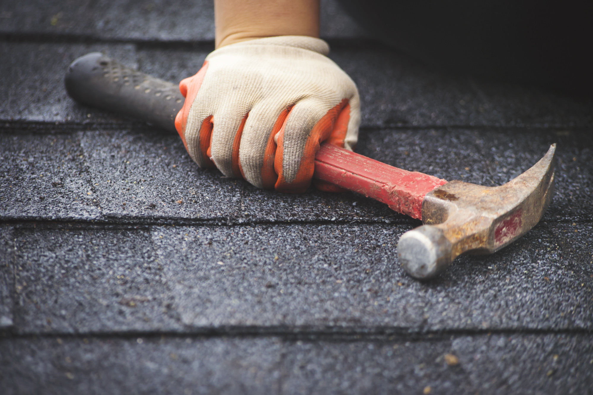 Spring Roof Replacement