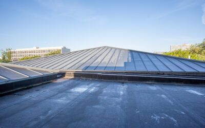 7 Factors to Consider When Choosing a Commercial Roofing Company