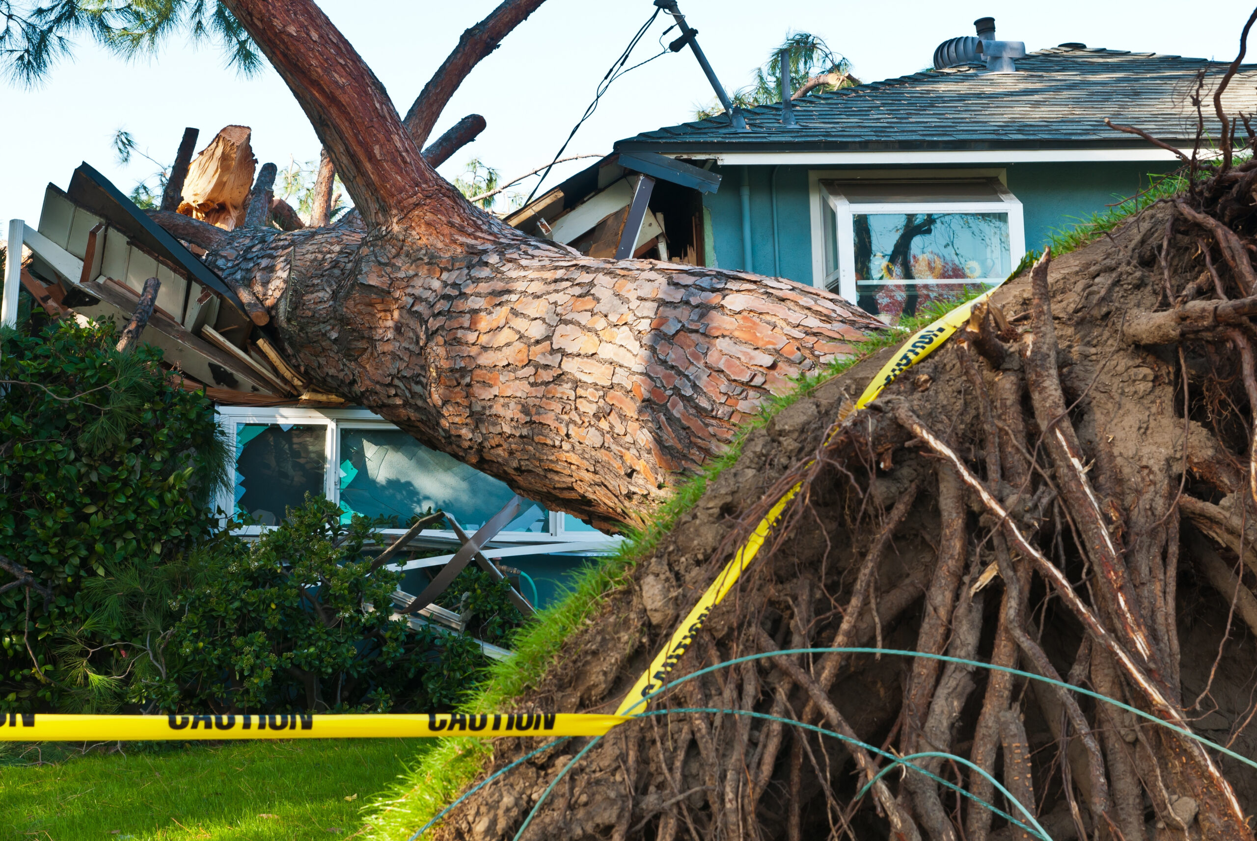 Old huge tree crashes into home due to storm